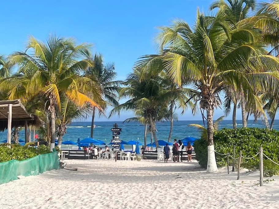 5* New Luxury Penthouse With Private Pool, Cenote Pool, Spa! Tulum 0*,  Mexico